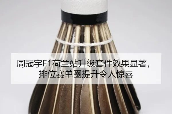 zhou-guan-yu-he-lan-zhan-sheng-ji-tao-jian-xiao-guo-xian-zhu-pai-wei-sai-dan-quan-ti-sheng-ling-ren-jing-xi-2-215.jpg