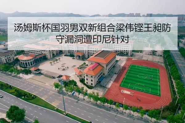汤姆斯杯国羽男双新组合梁伟铿王昶防守漏洞遭印尼针对